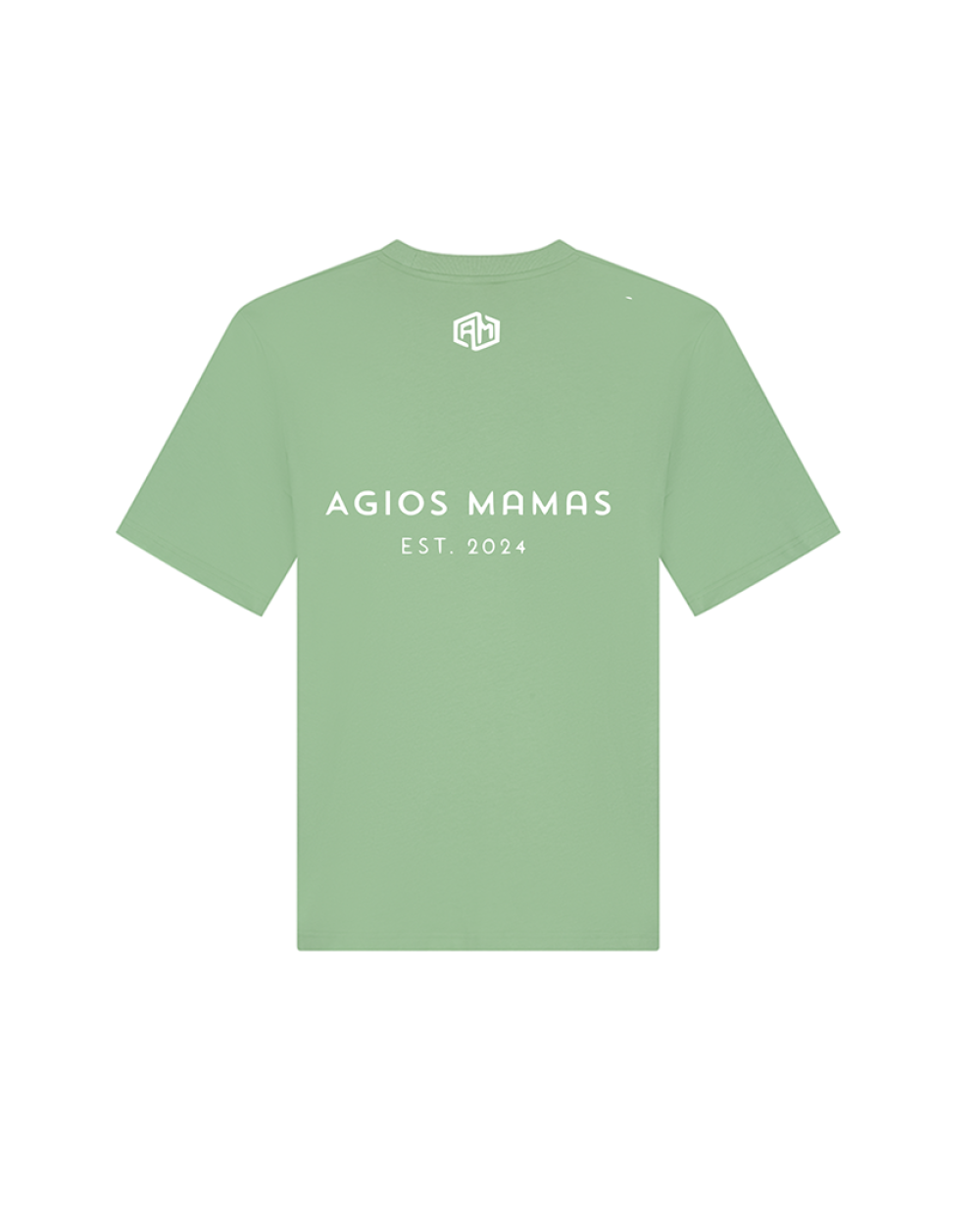 Casual T-shirt Print - Regular fit - Heren